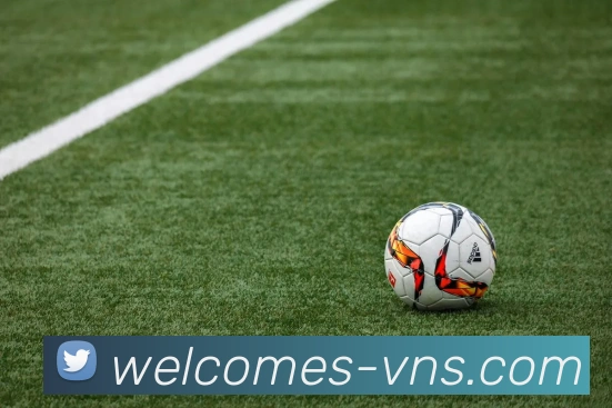 威尼斯人官网服务体系